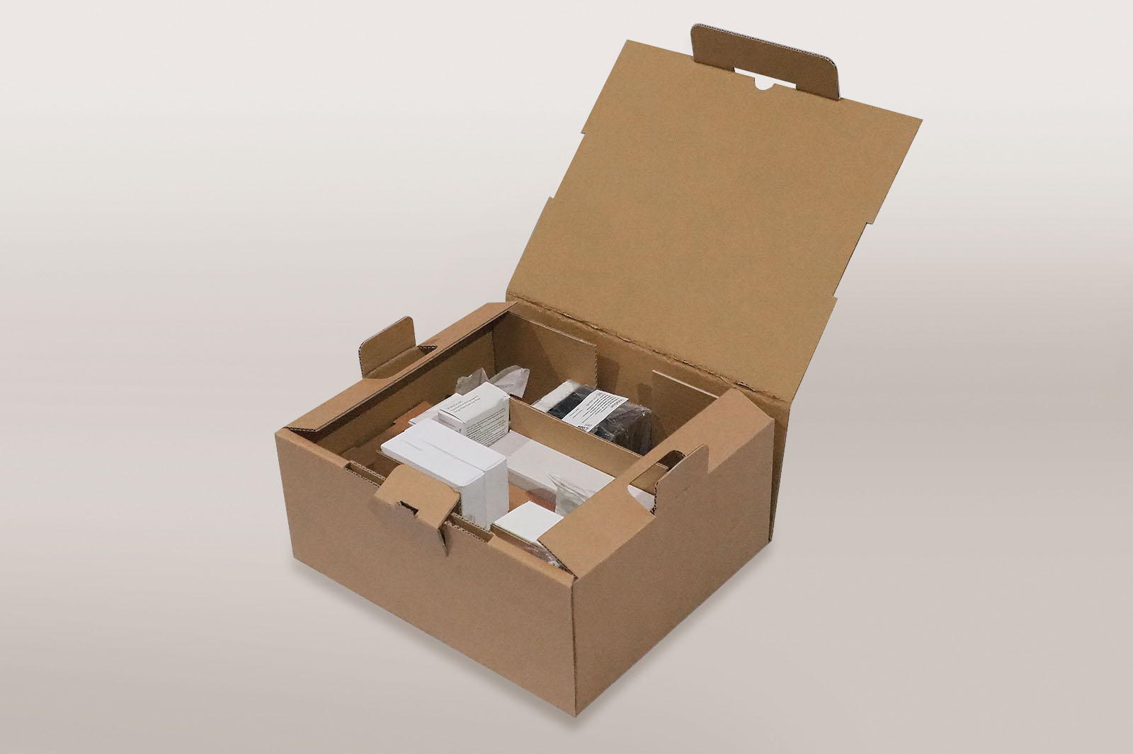 Ein passender Karton bietet Platz für das umfangreiche Zubehör. Es wird entsprechend eingelegt.